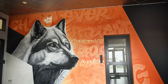 Stone-Graffiti-Eingagnsbereich-wölflegmbh